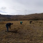 Maestrazgo Asociación Turística celebra la jornada de compensación de CO2 en Mirambel (2)