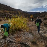 Maestrazgo Asociación Turística celebra la jornada de compensación de CO2 en Mirambel (4)