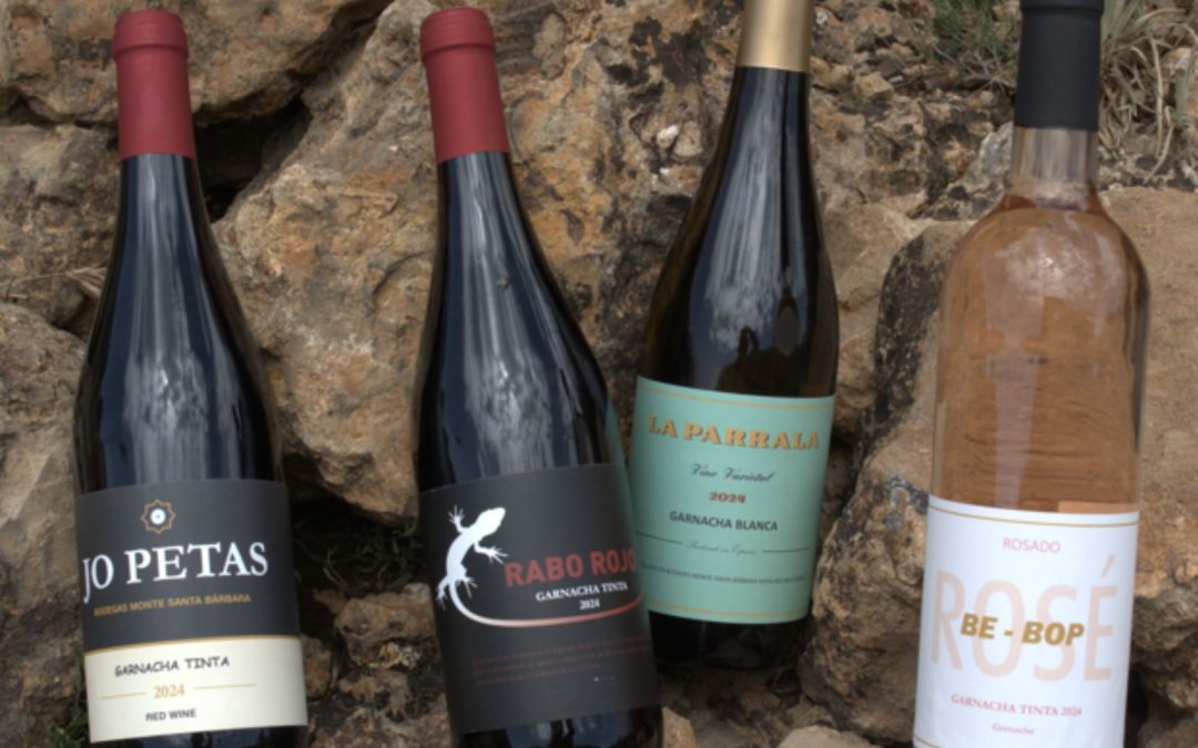 BODEGAS  MONTE SANTA BÁRBARA